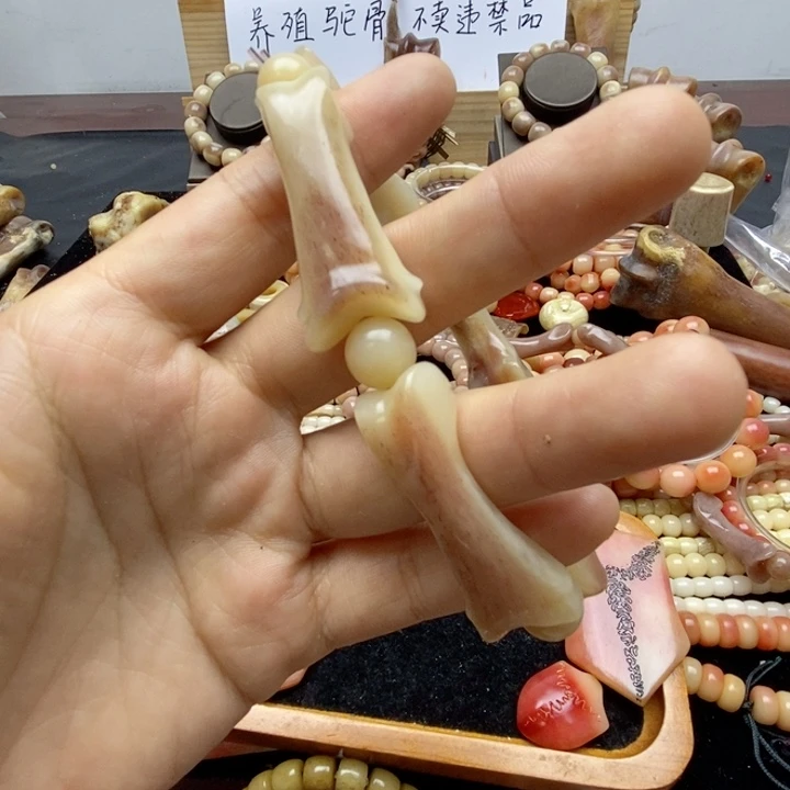 驼骨手串/手链趾骨驼骨