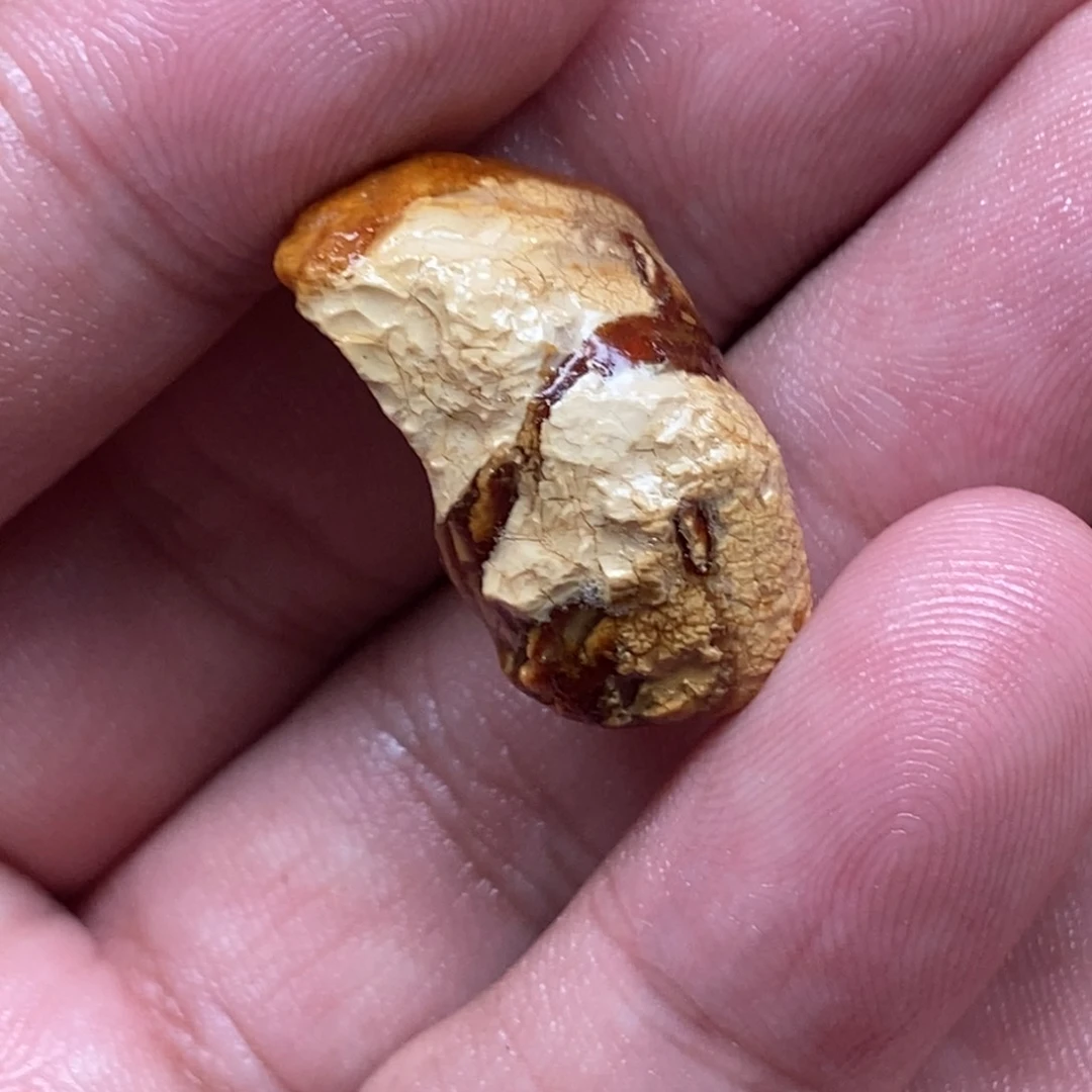 驯***手定制琥珀未镶嵌定制