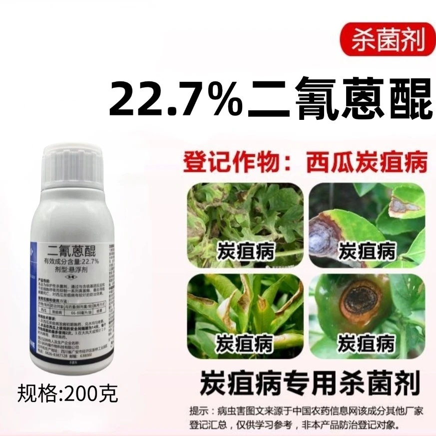 二氰蒽醌 炭疽病