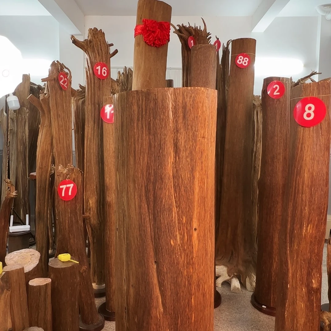 6***2沉香摆件沉香原料H