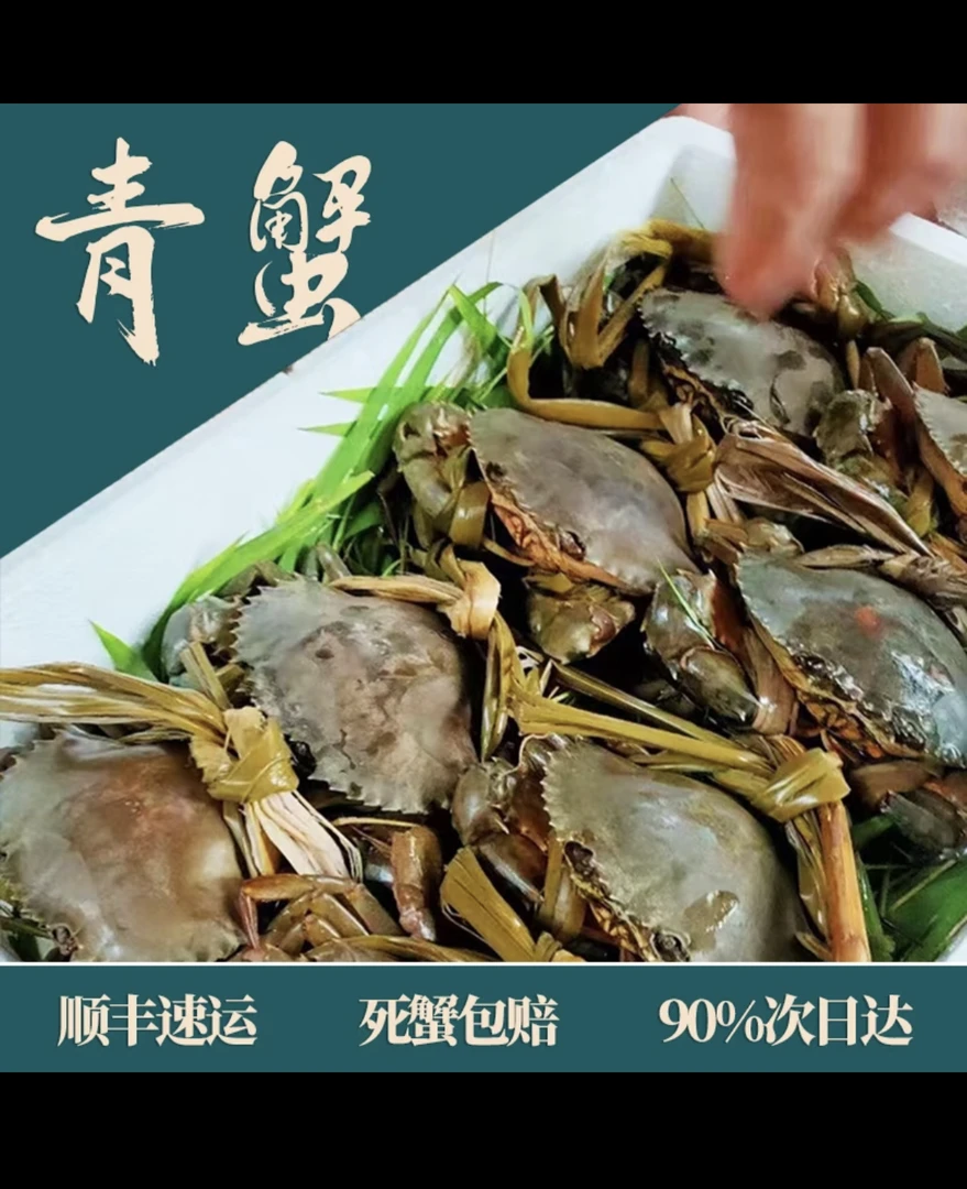 【顺丰活发】正宗青蟹肉蟹公蟹肉鲜甜肥美签收验货请勿放冰箱海鲜