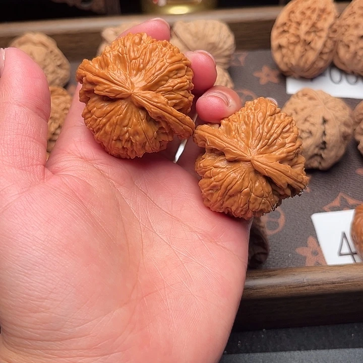 文玩核桃把件45白狮子