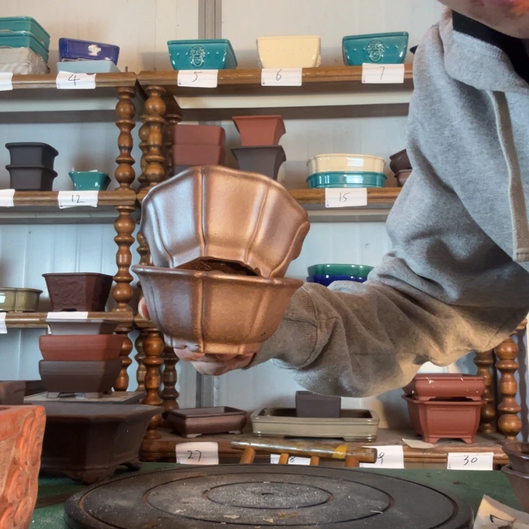 复古又处处分析称