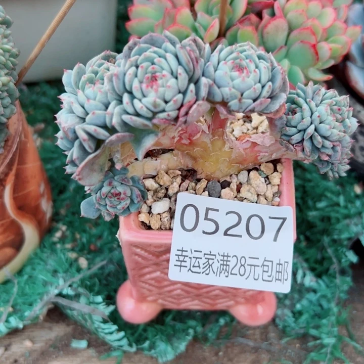 幸运的是我还在努力地