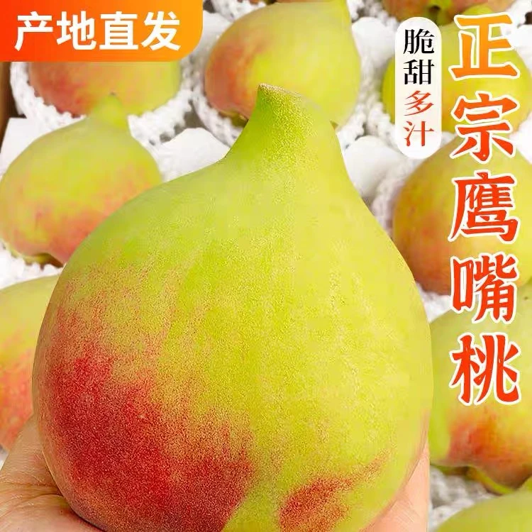现摘新鲜早熟鹰嘴桃子大果脆甜高端水果孕妇当应季整箱水蜜桃白桃