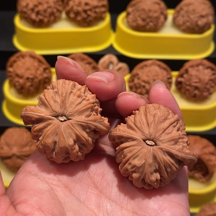 开***术文玩核桃38尺磨盘狮子头
