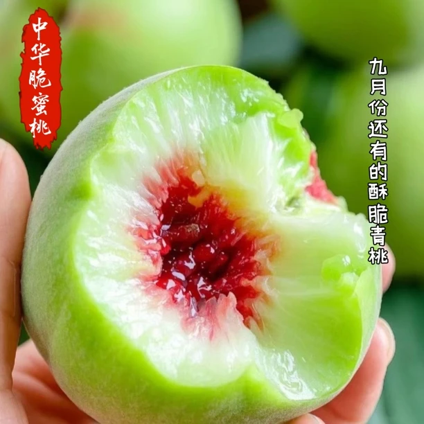 【京东包邮】金秋青玉翠蜜桃八月翠酥大青桃甜桃非青州蜜桃现摘现发