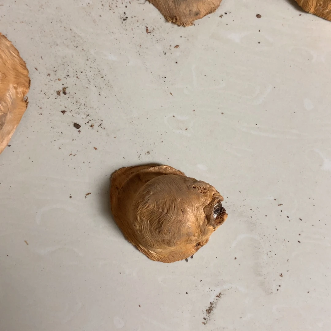 木荔枝木直播间链接