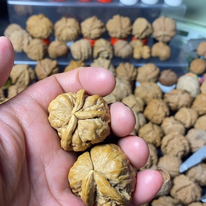 春***航大叶紫檀（黑酸枝木类）
