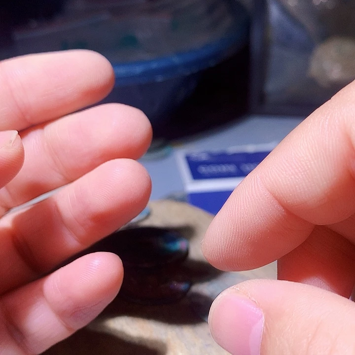 定制工艺品钱币31号竞价品