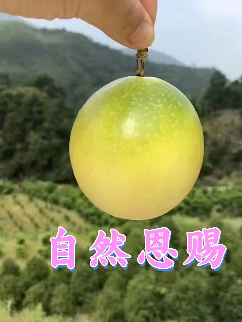 【轩轩专属】新鲜钦蜜9号百香果应季水果产地直发天然味道老少皆宜