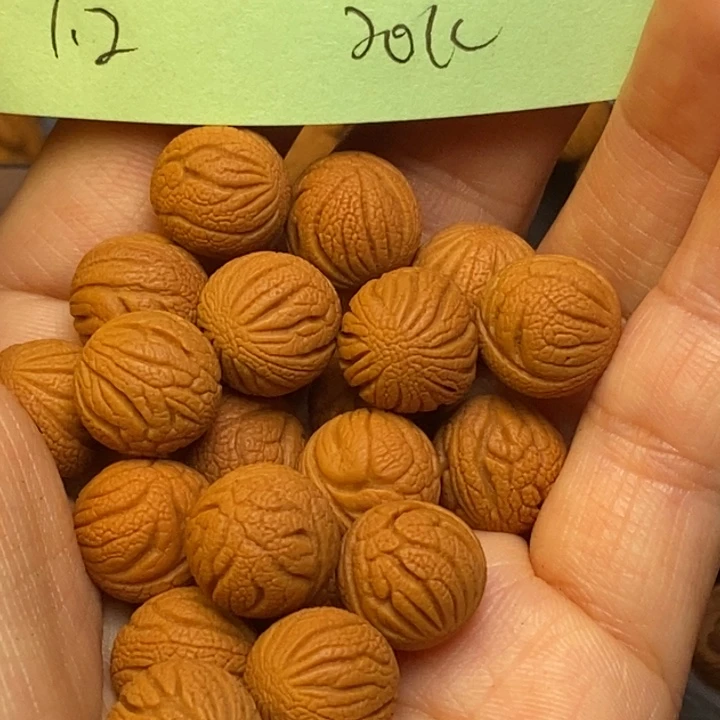 手串文玩核桃秦岭龙纹桃核12尺寸