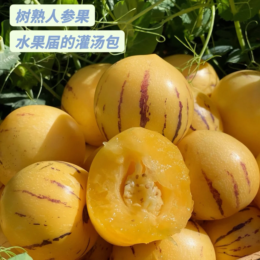 【次日达】云南树上熟 人参果2.5斤