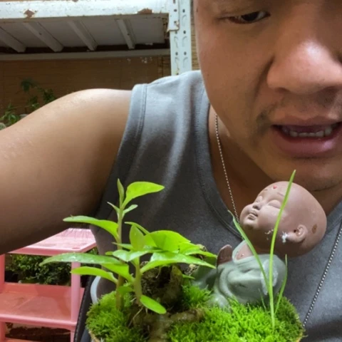 红陶园*志一物一拍所见即所得90