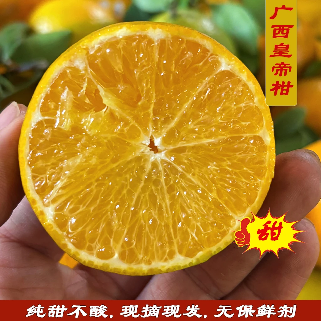 广西皇帝柑 新鲜当季正宗贡柑 纯甜不酸 5斤包邮