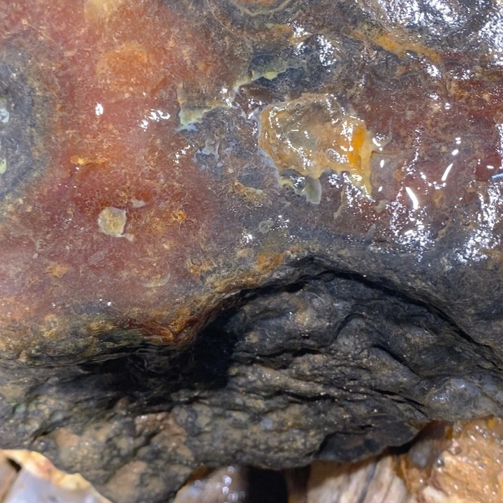 定制玛瑙追**想h lo ou ti mo