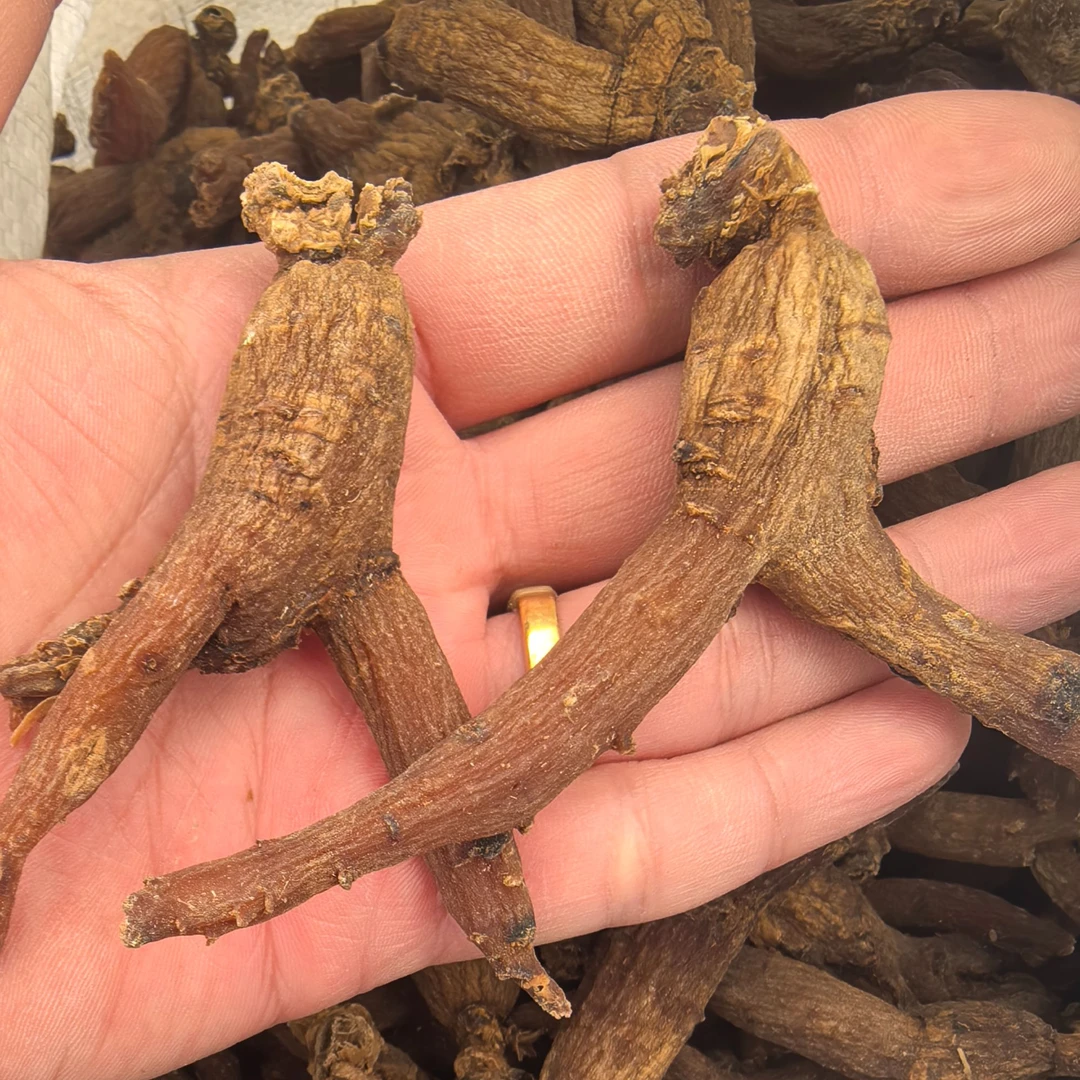 缘和仁康长白山无糖红参高年头滋补养生经济实惠5年