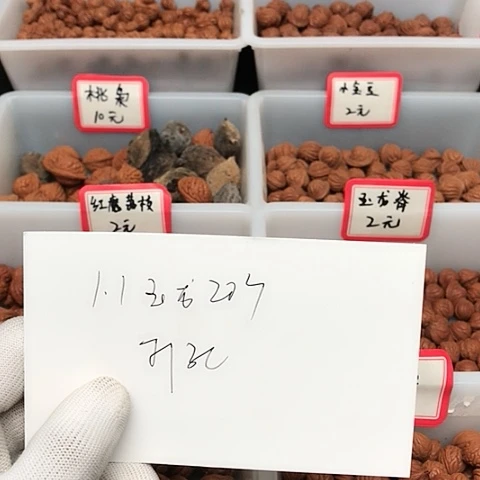 桃核吊坠@****璃龙纹桃核的搭配