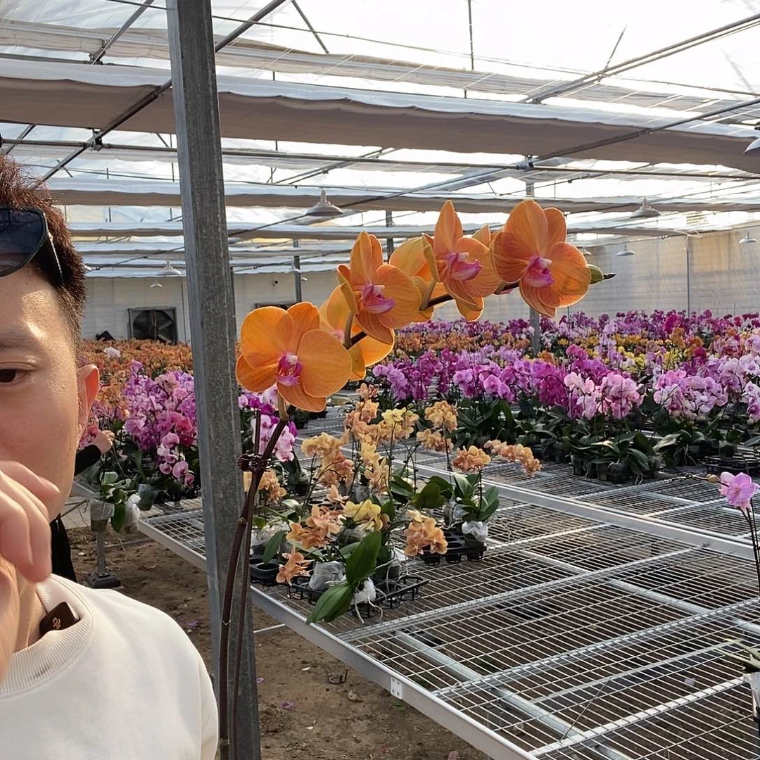 傲***娇完全开放波尔扎诺003