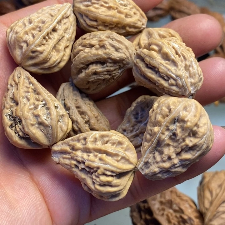 橄榄核把件拿姐呵呵74