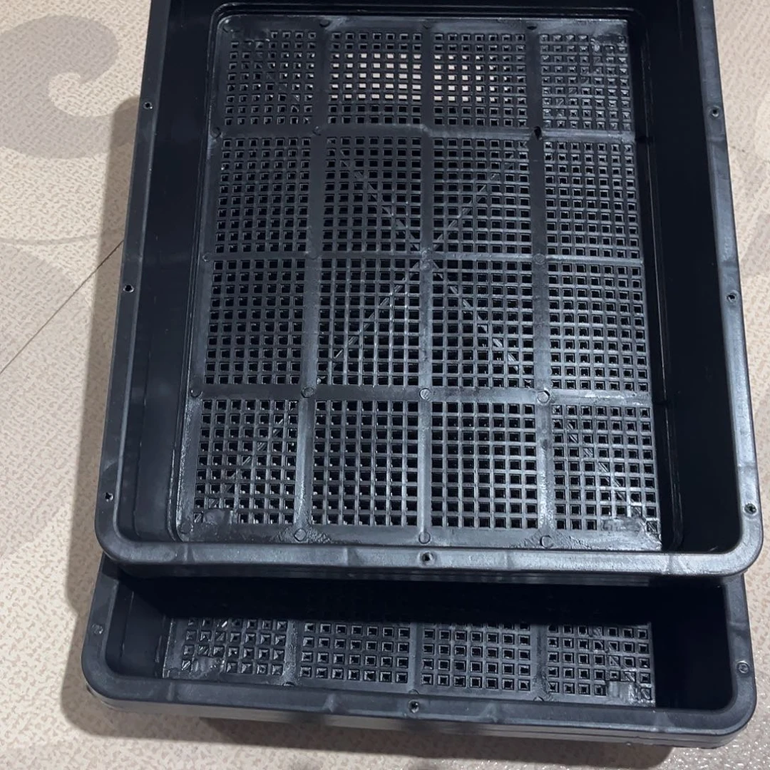 大号育苗框30×37×7黑盆5个无托