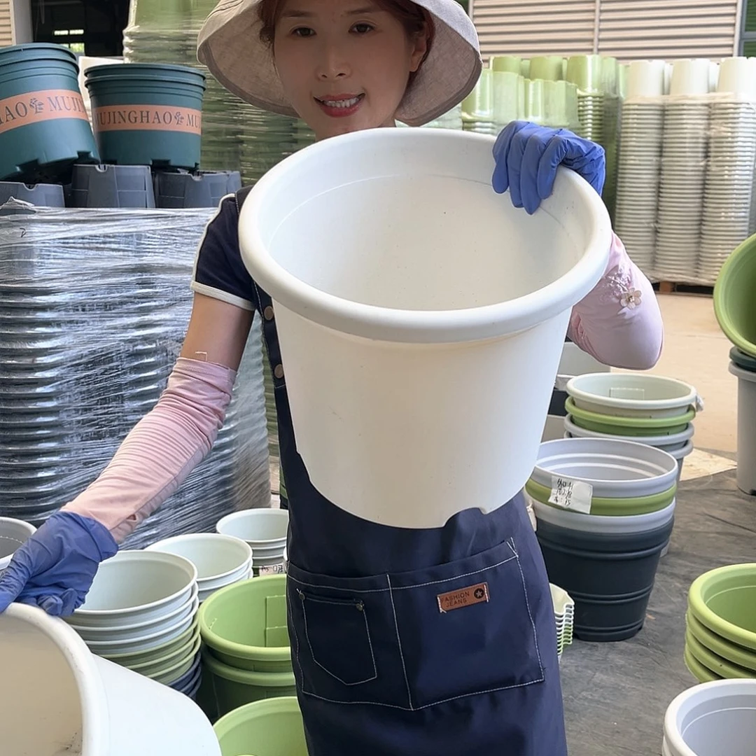 四季盆5#象牙白5个无托