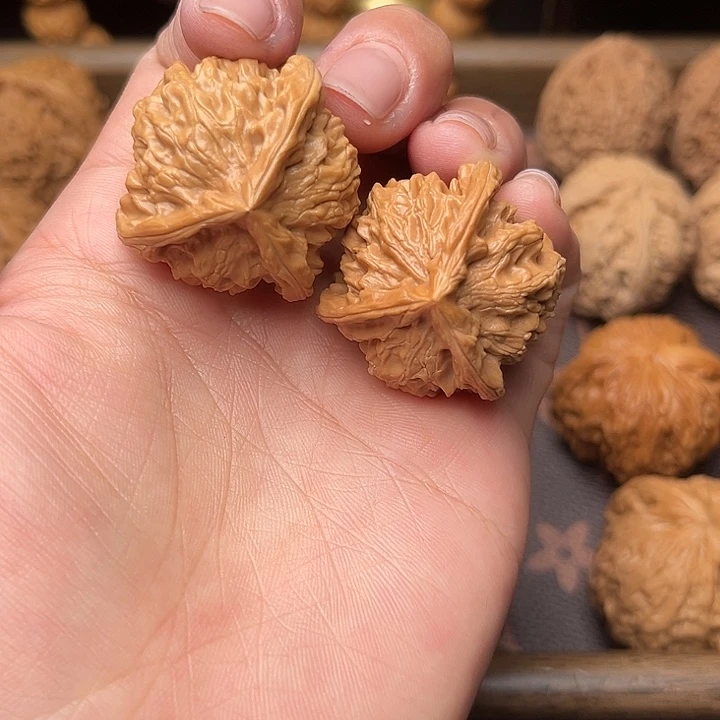 核桃32盘山三棱福利