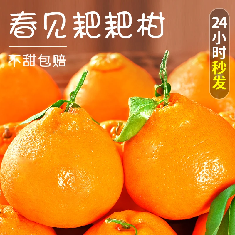 四川春见耙耙柑新鲜多汁香甜橘子当季水果丑桔八怪橘特甜