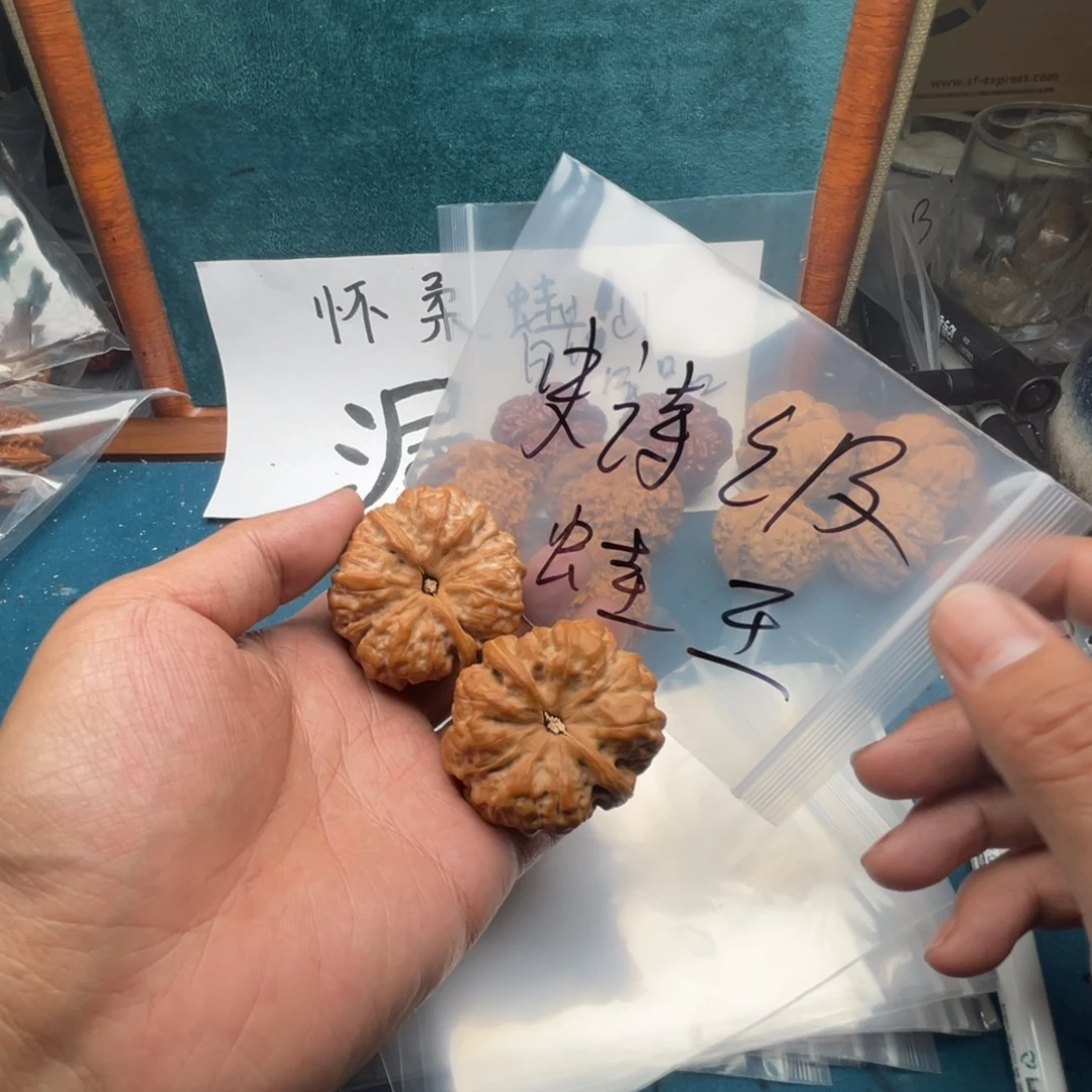 三***十核桃7355373755377535373753