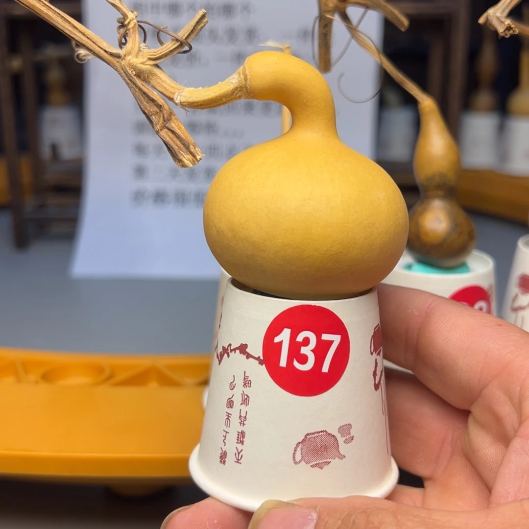 闪电购自助下单编号137