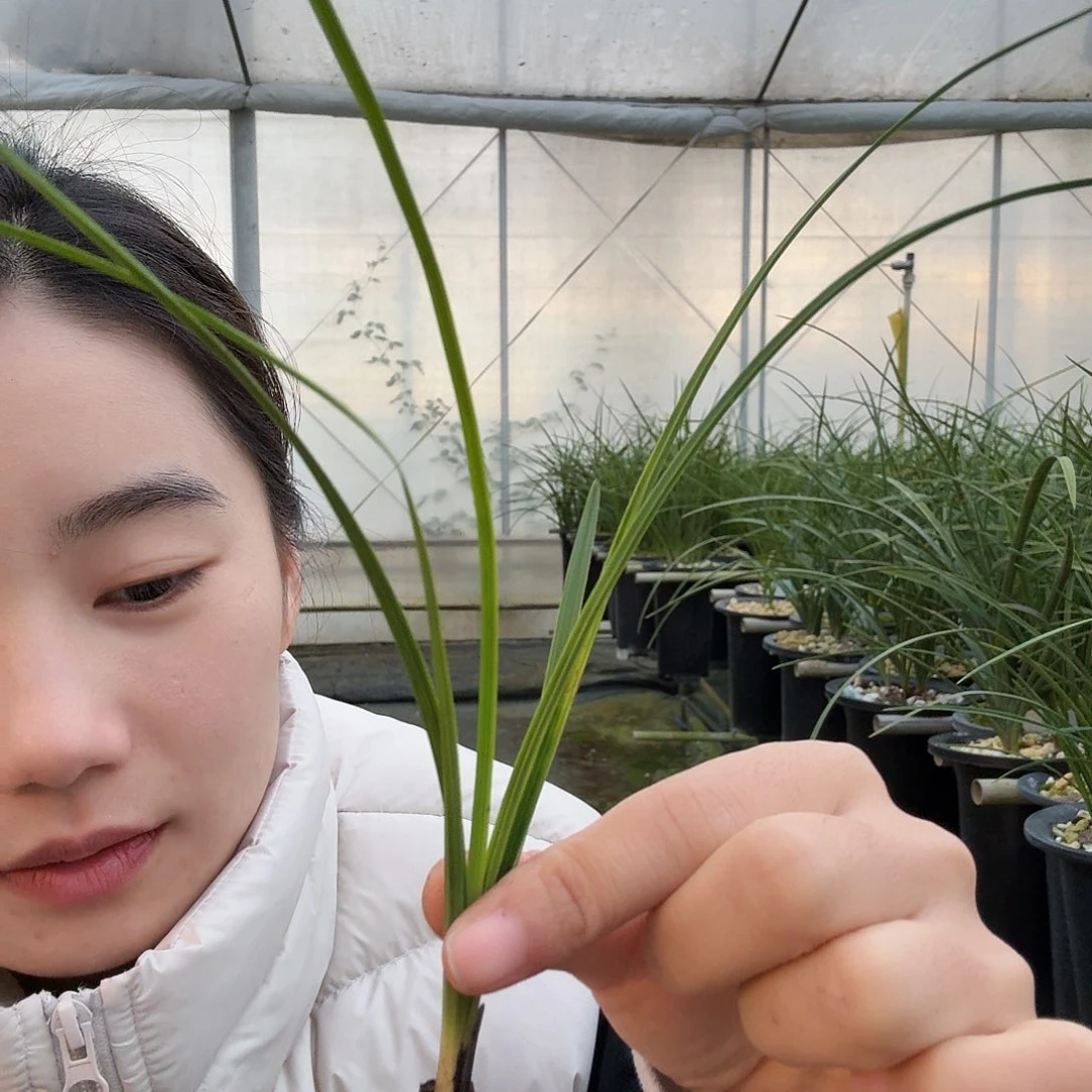 洋***哥完全开放123456809888