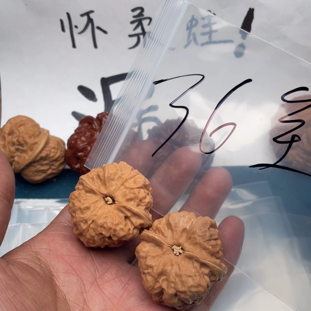 核桃75353773557373535537