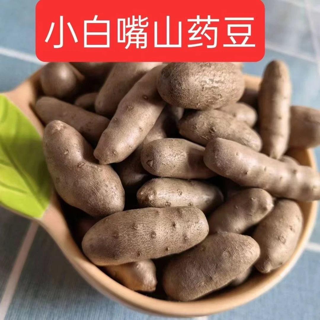 纯手工分拣超大果小白嘴山药豆软糯香面新鲜