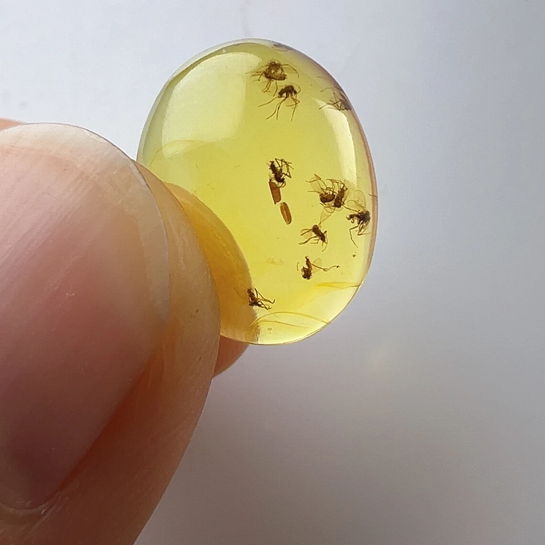 琥珀裸石未镶嵌?**谓