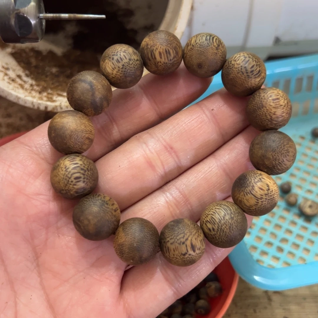 用****0高油脂红骨凹身品种卡1.6单圈18.1克