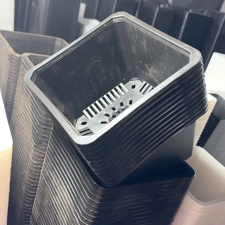 秋*180黑方盆17公分10个