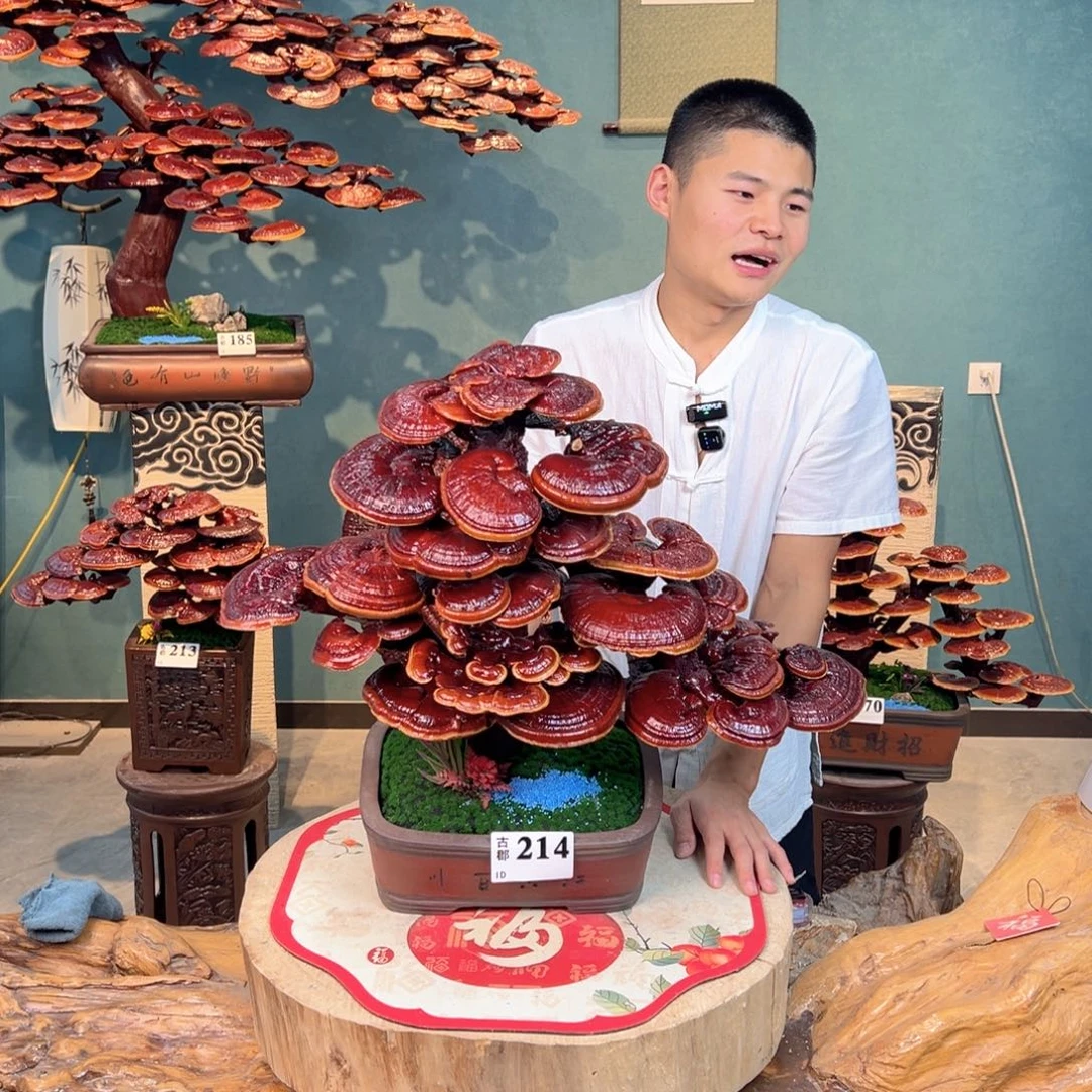 无花朵88888888888