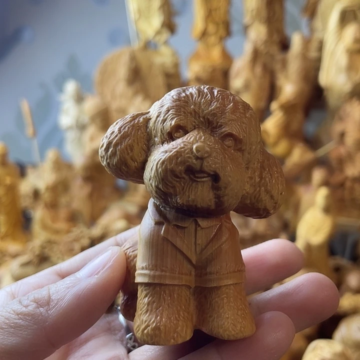 柏木（崖柏）崖柏泰迪