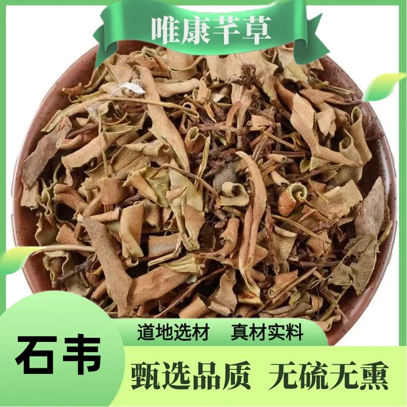芊草 【石韦】正品无硫石韦 高品质石韦 石苇 石皮 另售牛蒡