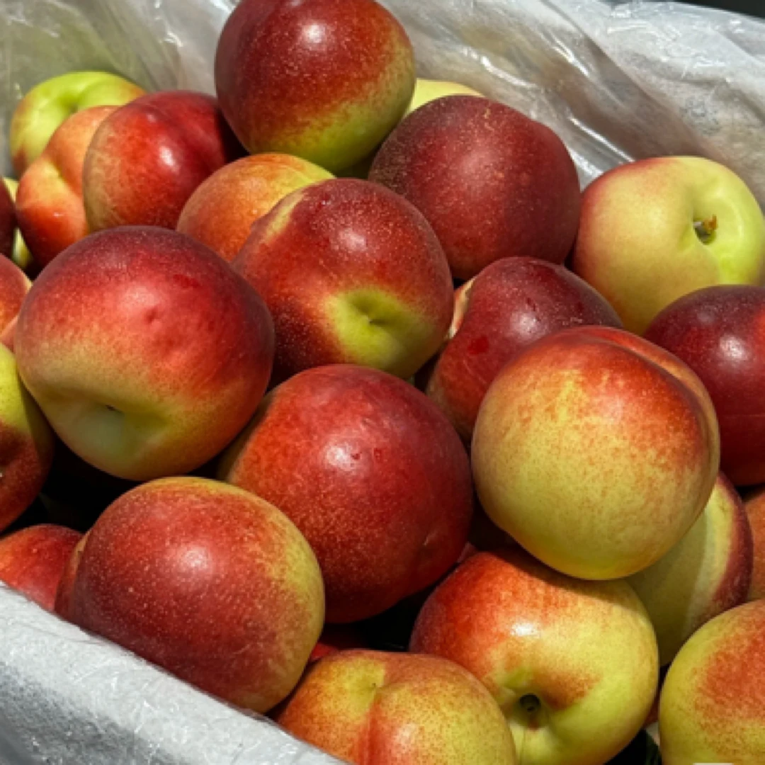 珍珠枣油桃*盒（500g）山东省