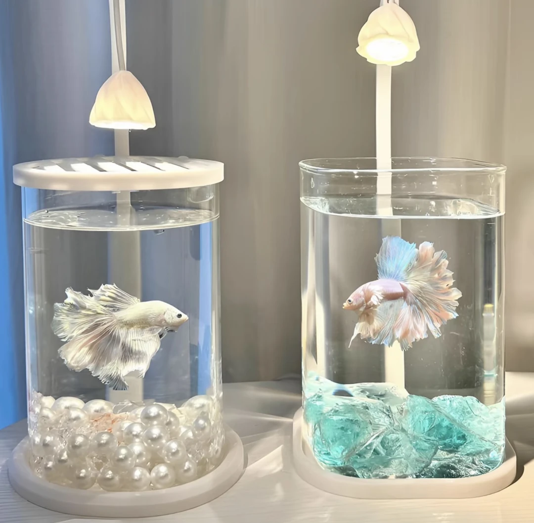 米米斗鱼专用鱼缸小型客厅2025新款玻璃造景小夜灯创意摆件观赏