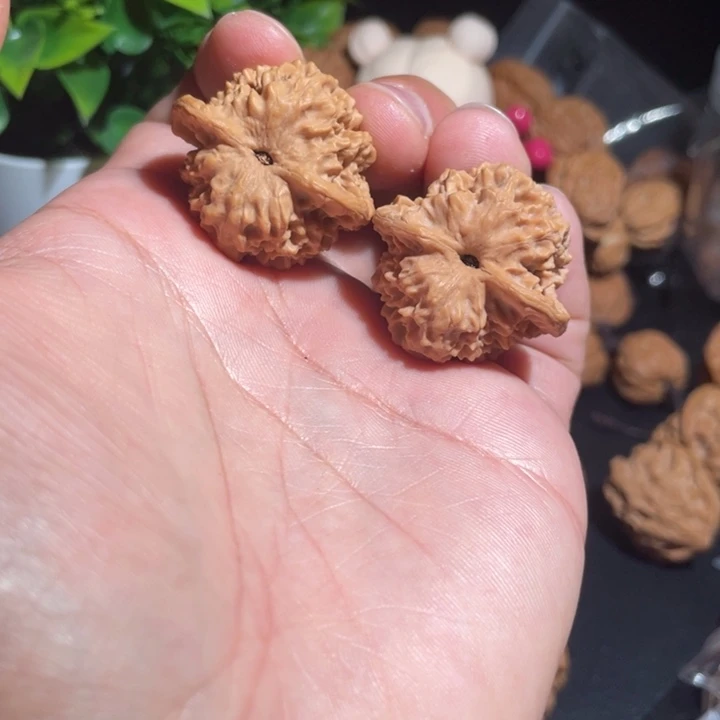 文玩核桃把件33凹底珊瑚纹野生