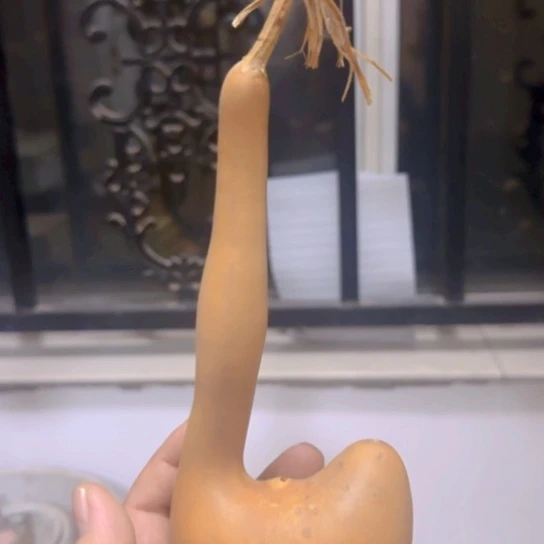 心***安我们的生活也是如此的丰富多彩
