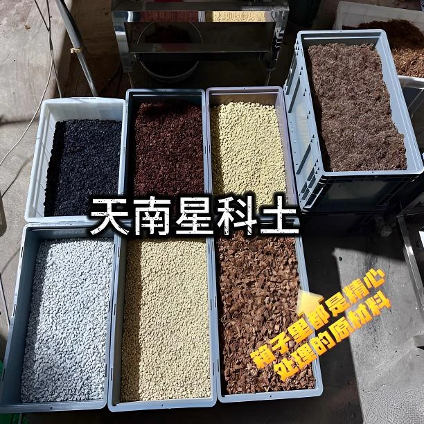 龟背竹七合一高端基质配方土专用土营养土