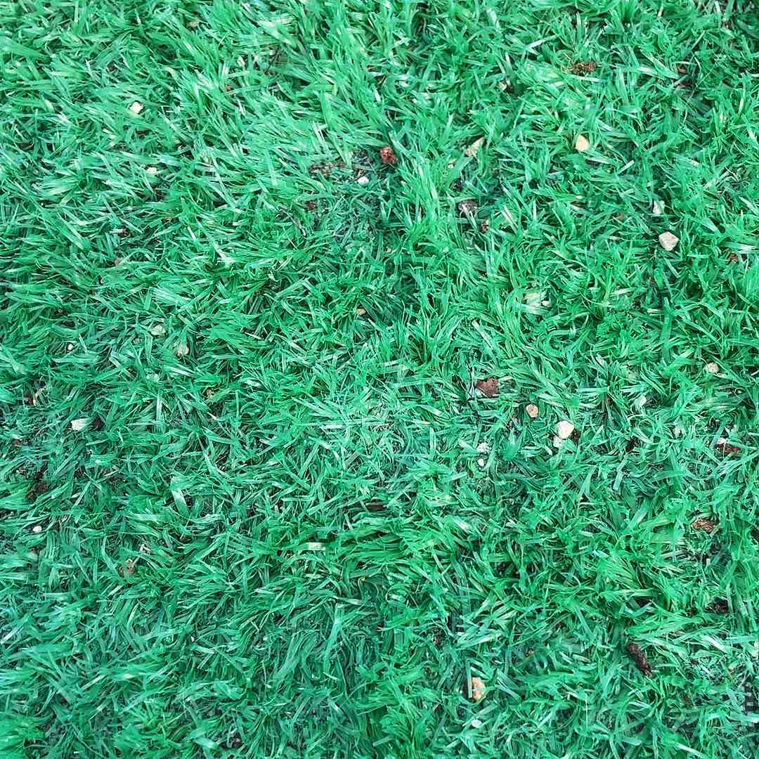 ****！爱笑姐多肉链接的