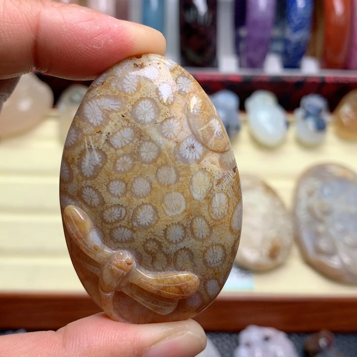 硅化珊瑚（珊瑚玉）未镶嵌颈饰有骨骼