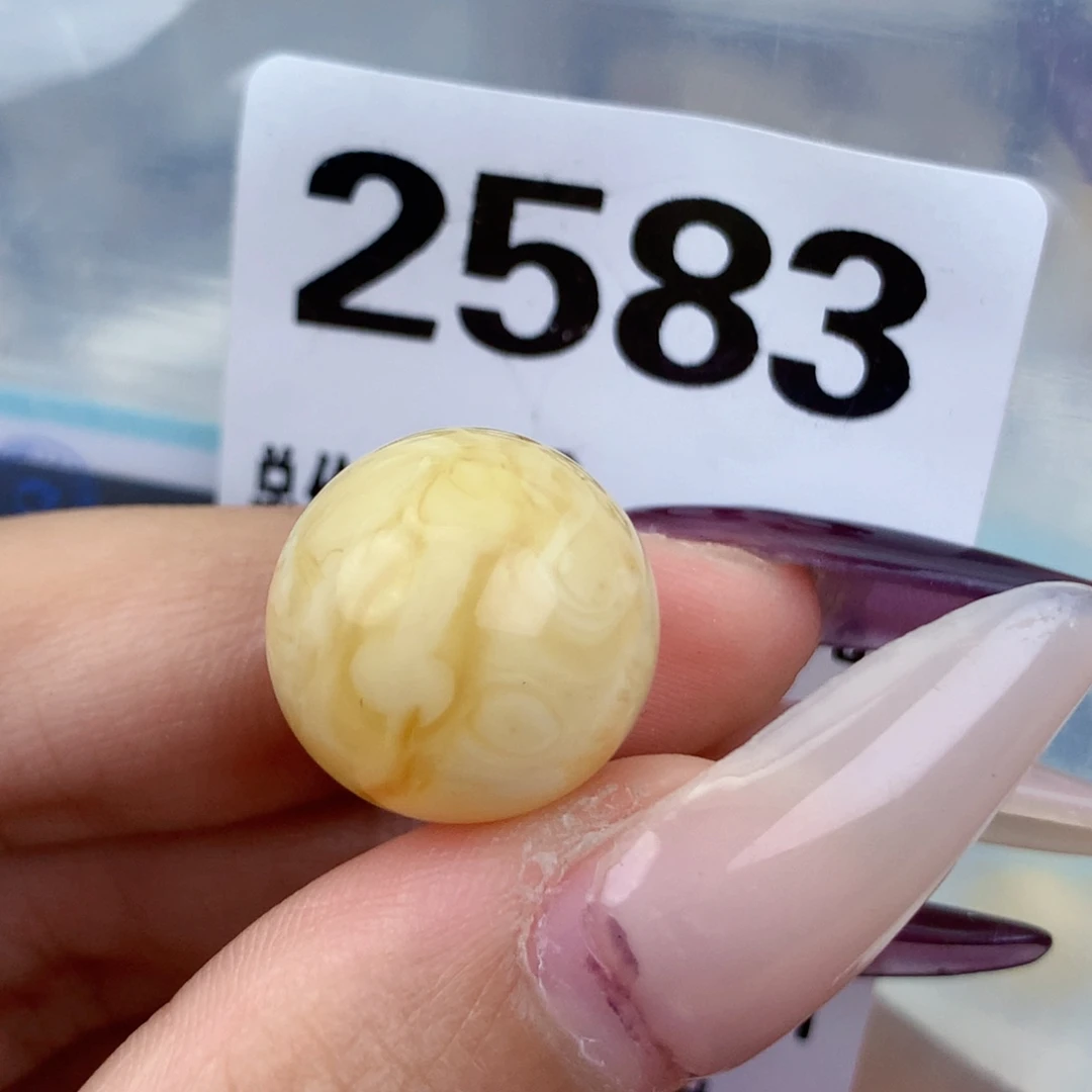 琥珀未镶嵌珠宝奇石16.2植物，