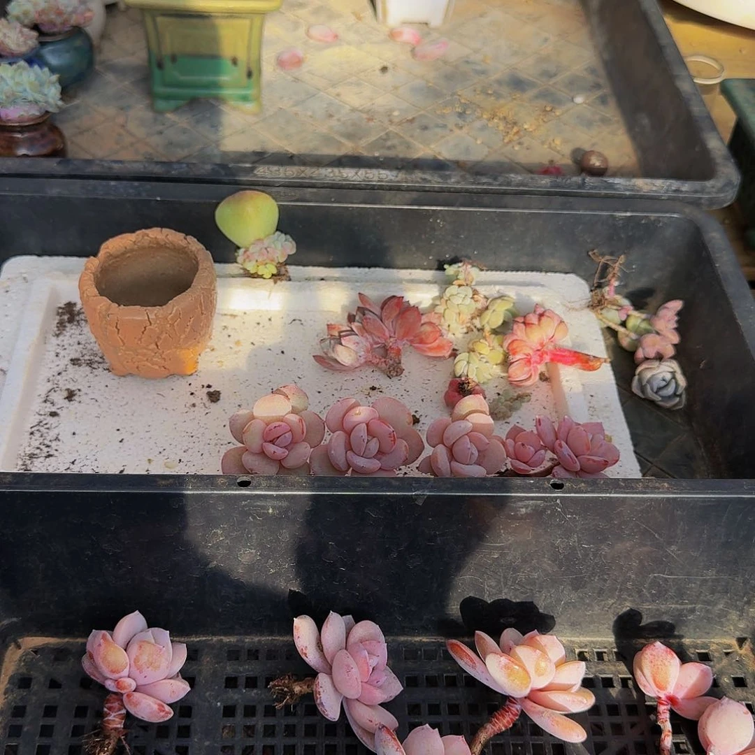 x**i哈哈哈哈哈哈哈哈哈哈哈哈