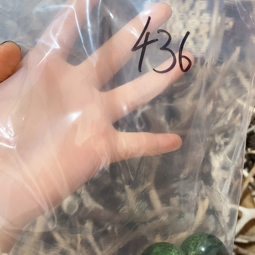 皮*兽鹿角鹿角鹿角鹿角