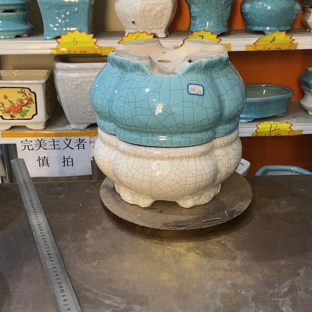 知*花盆花盆里的花都开